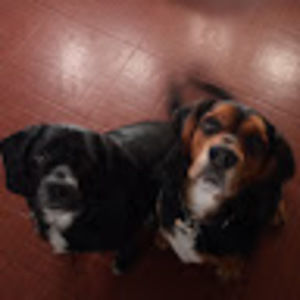 Meet your Posher, Stacie